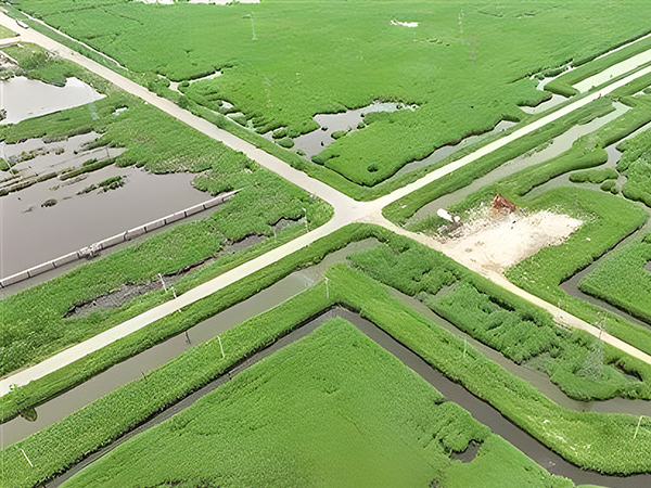 66e394d6afa90.jpg 1-1.jpg