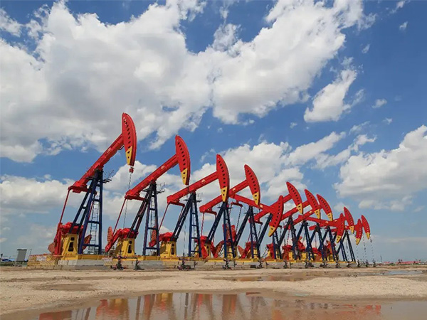 67491c81dd378.jpg 1-1.jpg